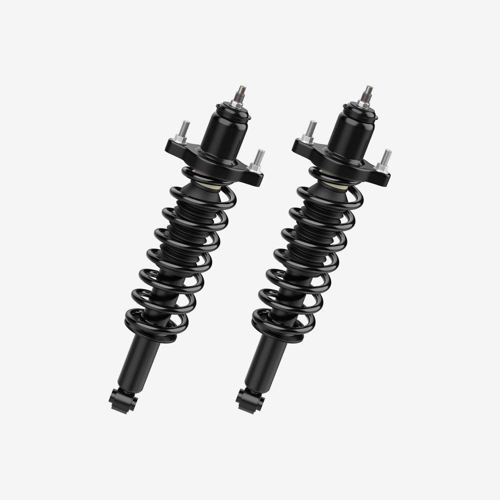 Rear Strut and Coil Spring Assembly